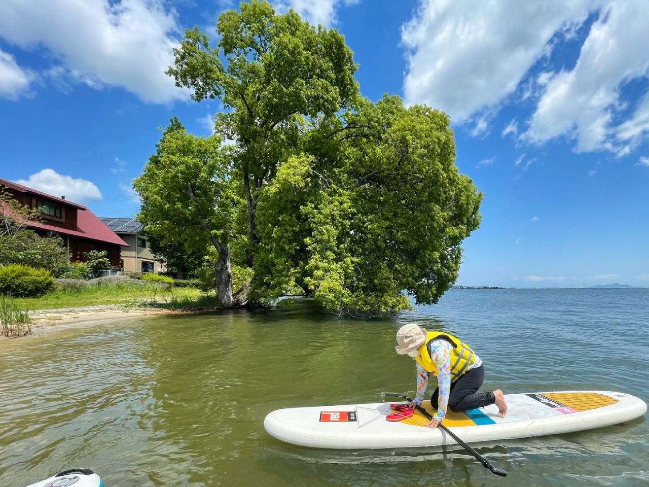 琵琶湖には緑が広がってます!