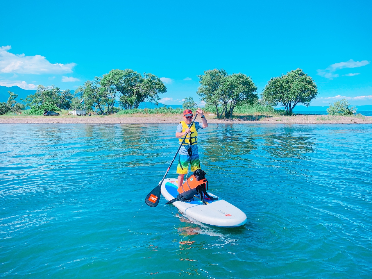 愛犬同伴の様子♪
