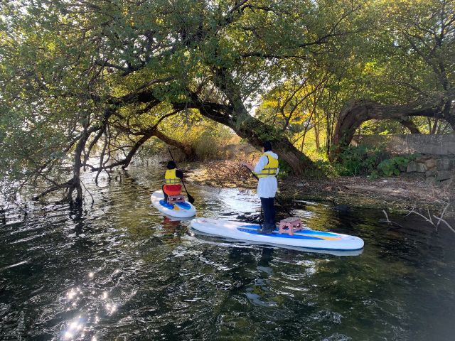 こんなところもSUPでは通れたりします♪