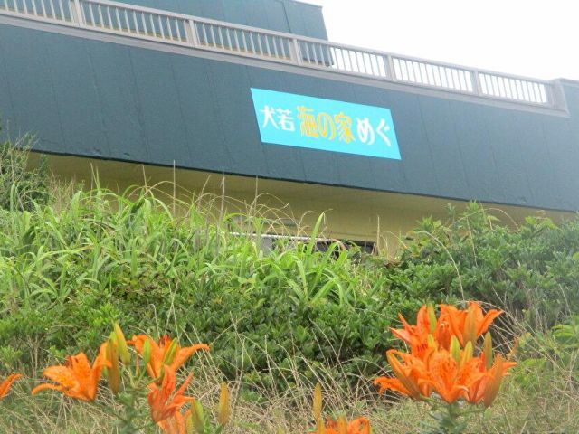 犬若のある銚子には見所がたくさんありますが、何と言ってもお勧めは「太平洋の荒波」。鹿島灘に面する海岸に太平洋の波が打ち寄せています。