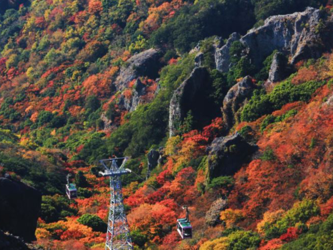 H̍gtAē~iFƎlG܁X̌iFy߂܂