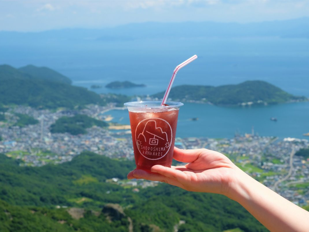 yt[hR[gɂĈސiI݂TC_[̔z݂tGLX100nTC_[BAgVAj̐ĝɂ₳킢ł