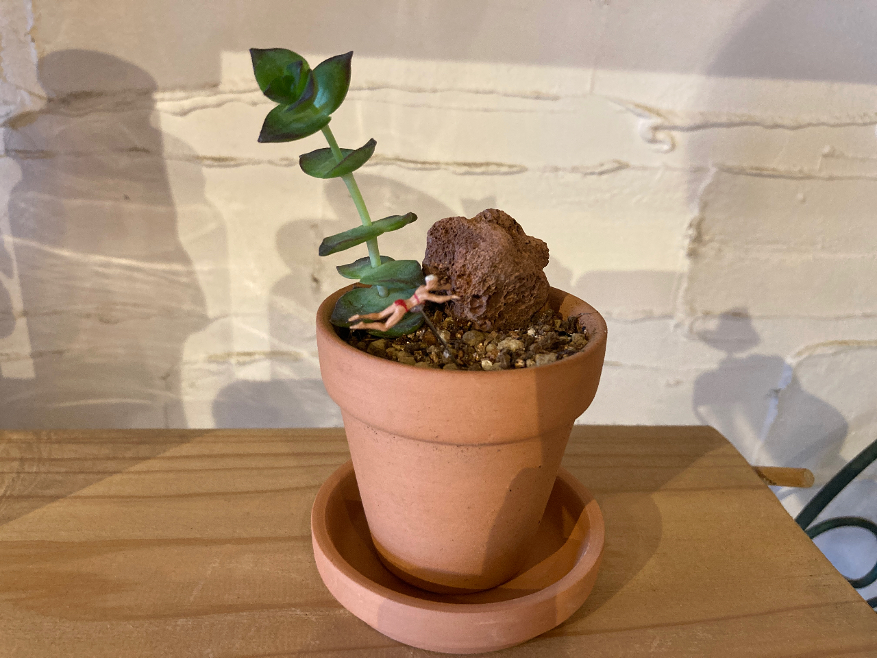 コレは300円の鉢にお1人様100円のひとり、石…何個入れても100円を一個合計500円です♪