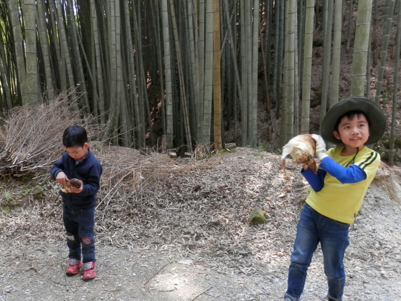 【*たけのこ狩り*】昼食には自分たちで焼いたピザを食べよう!たけのこは土嚢一杯分...