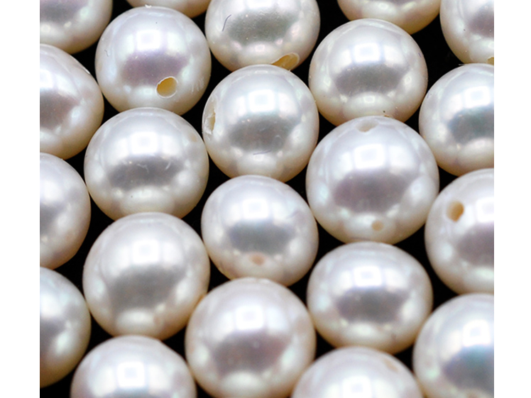 Ԏ^̓zCgn^iAR^j̈̕i𖞂ʕi̐^ɗ^ď̂łB