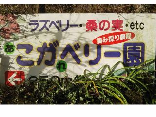 香木ハーブ加工体験と農園ランチ ダッチオーブンを使った特製ランチとハーブティを味わう 摘み取ったハーブは持ち帰りok 外で遊べる ファミリー カップルにおすすめ こがベリー園 じゃらん遊び体験