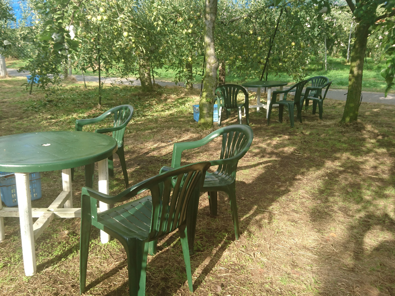 ��񂲂̎��̉��Ƀe�[�u���ƈ֎q�����p�ӂ��Ă��܂��B���Ɍ��肪�������܂��̂ŁA�T�����z���̏ꍇ�A�~���̂����Q�������߂��Ă���܂��B