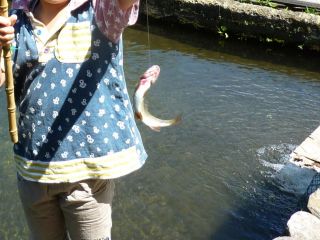 川魚釣り レンタル竿付き ファミリーで楽しめるお手軽釣り体験 ツーリスト美乃和 じゃらん遊び体験