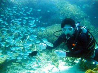 体験ダイビング!!!