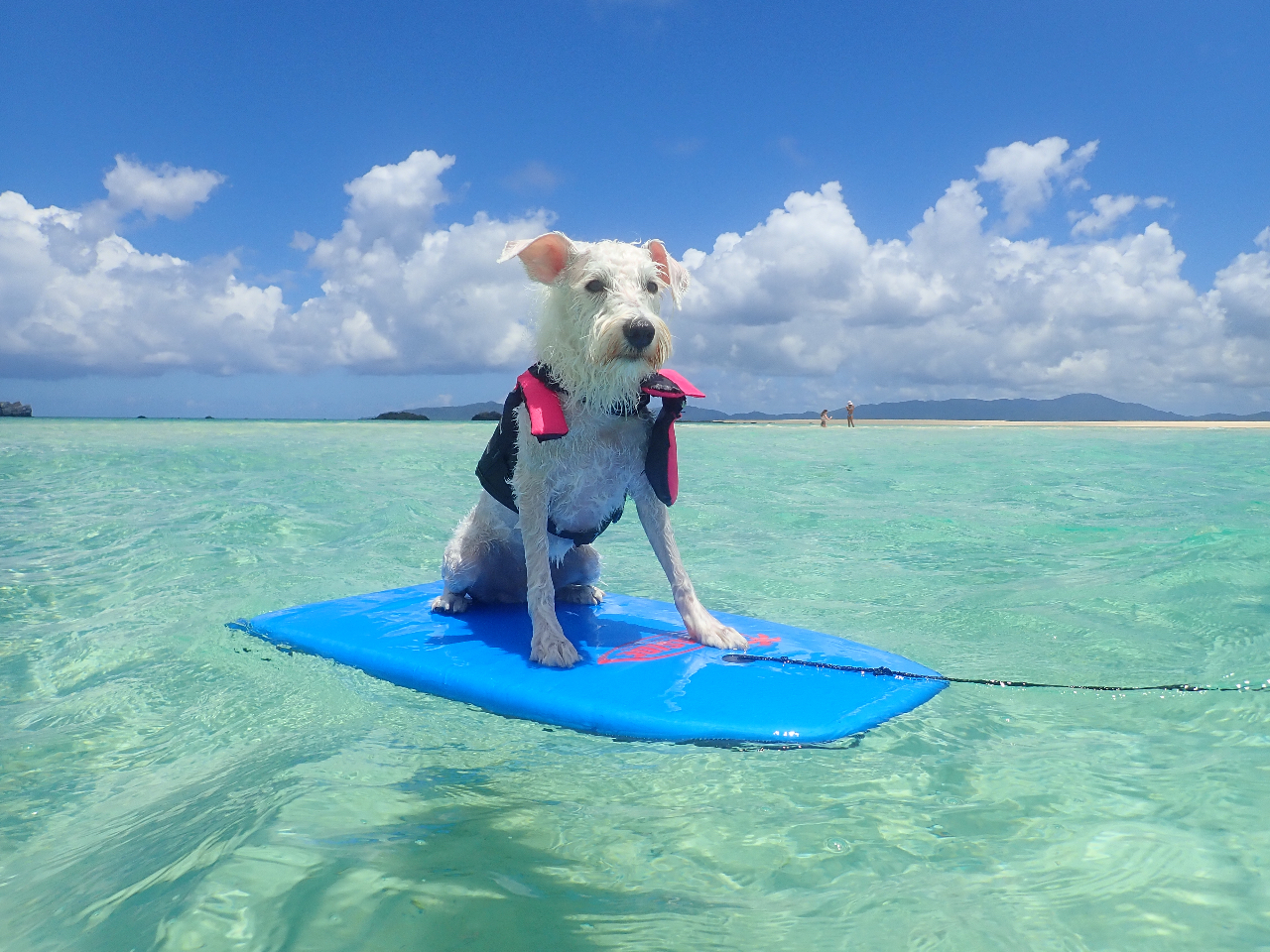 ��񂿂��I�b�P�[�I