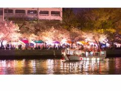 中之島駅周辺の花見ランキングtop1 じゃらんnet 中之島駅周辺の花見ランキングtop1 じゃらんnet