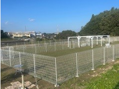 Ő̏ł̂т̂ы삯ԂłI