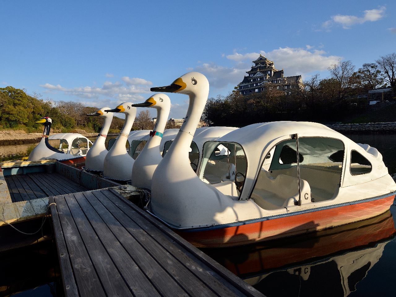事前予約特典500円割引 運動不足解消にも 定番スワンボート Caf E Restaurant Boating 碧水園 じゃらん遊び体験 事前予約特典500円割引 運動不足解消にも 定番スワンボート Caf E Restaurant Boating 碧水園 じゃらん遊び体験