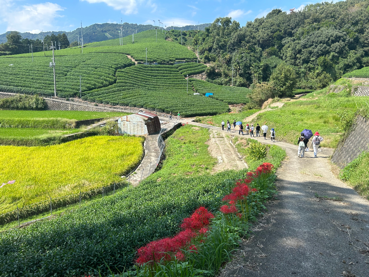 �E�H�[�L���O�R�[�X�̈ꕔ