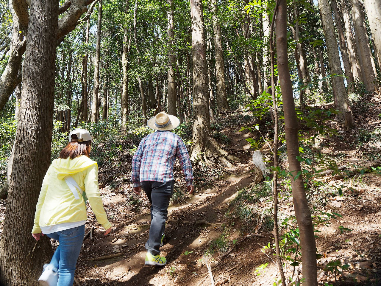 【君津市×自然の中での癒し体験】鹿野山で半日マイクロリトリート体験!森林浴でエネ...