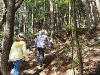 鹿野山古道の一部を歩いて神野寺⇔白鳥神社間を往復します。