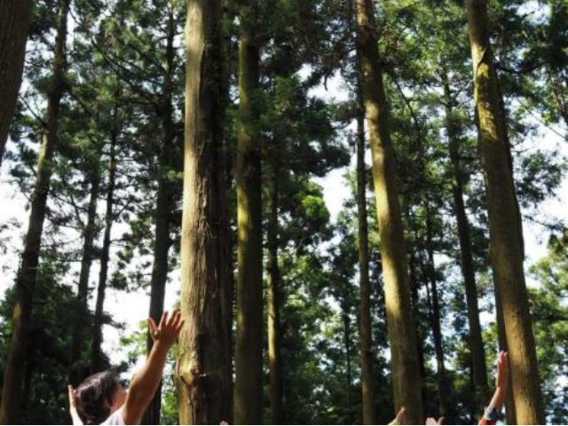 森の神聖な空気を目いっぱい取り入れて深呼吸。