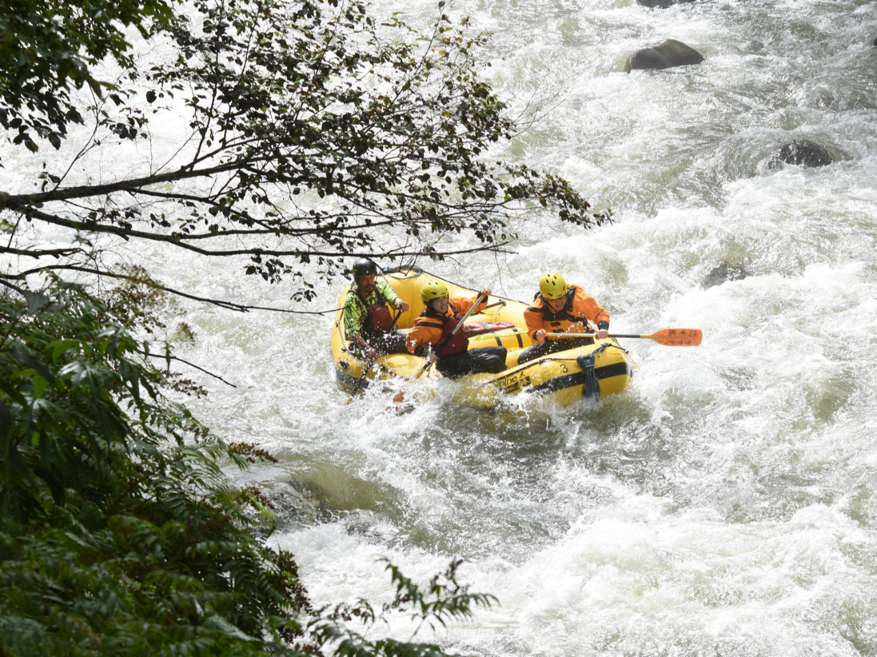 �J�b�v���ł߂��Ⴍ����y���߂܂��I