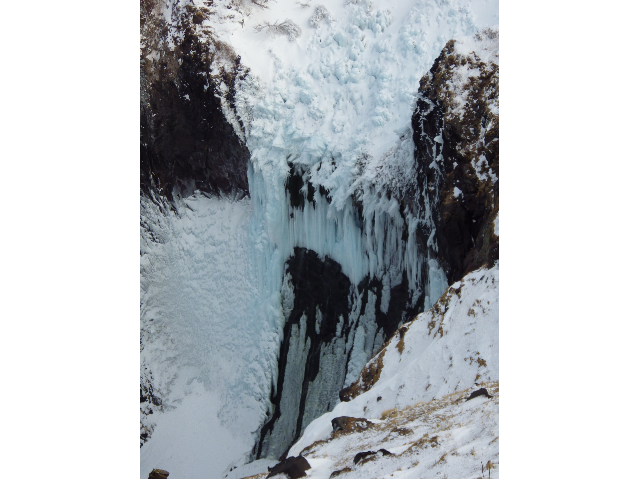 フレペの滝スノーシュー&野生動物ウォッチングツアー