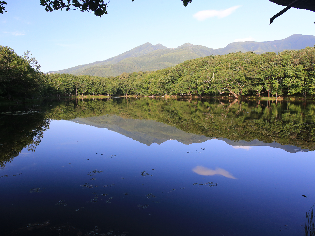 知床五湖(四湖)