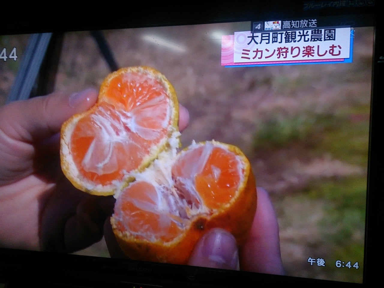 ܂Ƃ낯銮n~JiɂĂω܂j