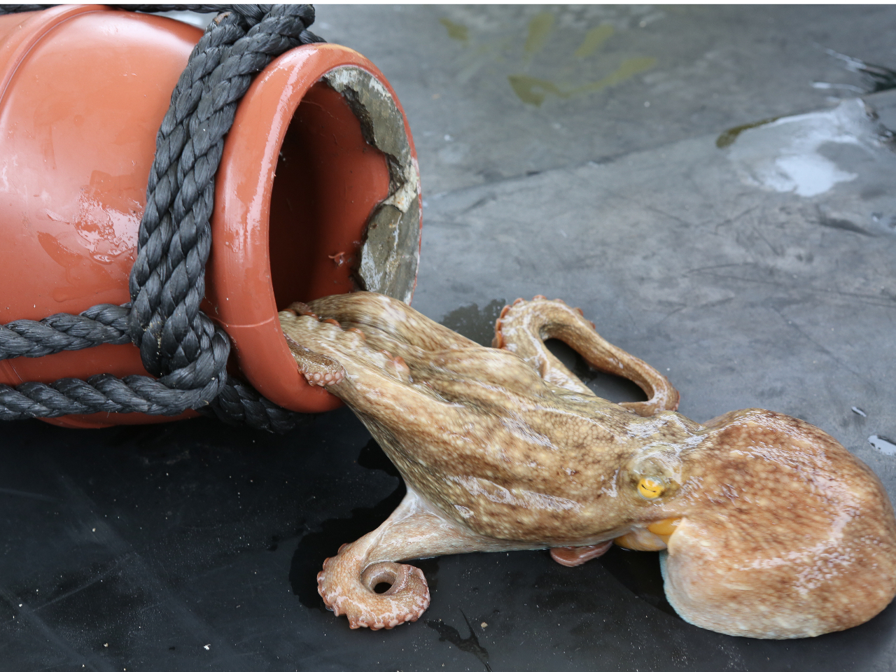 VNȐ^R̂yYti5-8.10-12j