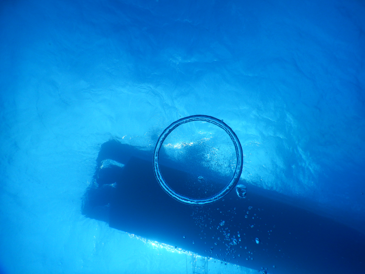 水中から見上げるって不思議〜♪