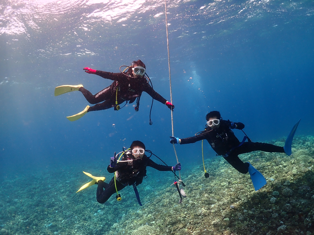 専属ガイドでご案内】水中写真プレゼント【宮古島ボート体験ダイビング