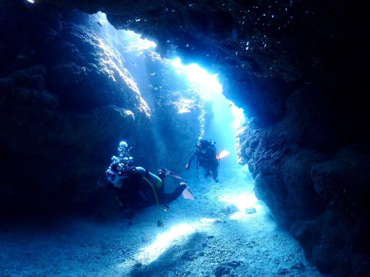 �n�`�_�C�r���O�ł킭�킭�h�L�h�L�I