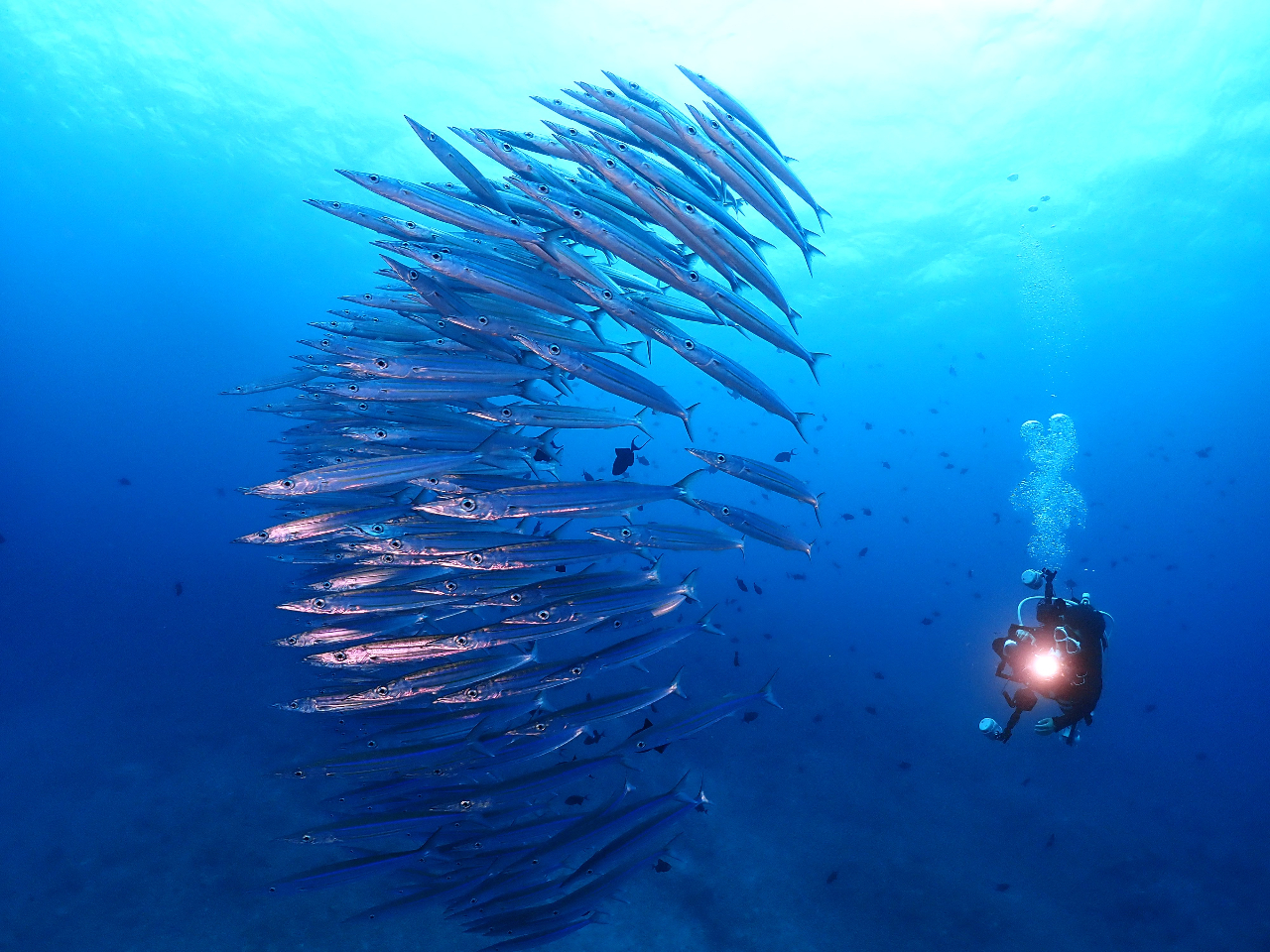 �ǂ�ȊC�ɏo��邩�h�L�h�L�ł��ˁ`