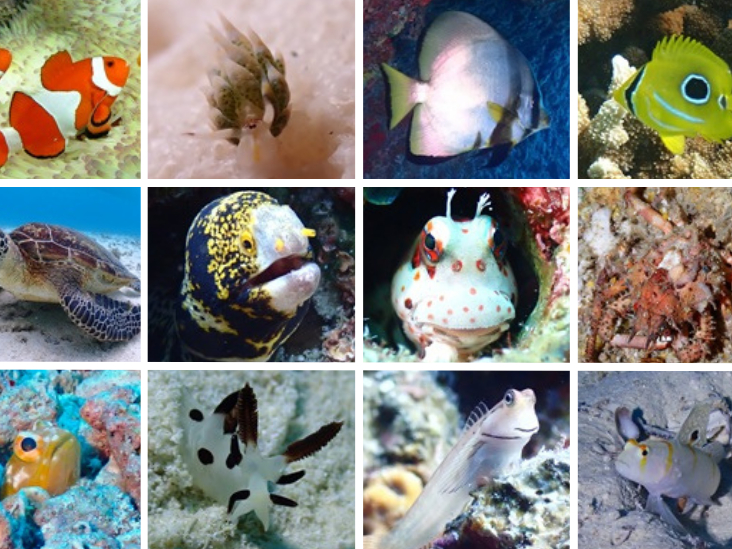 �����T�����y���߂܂���`