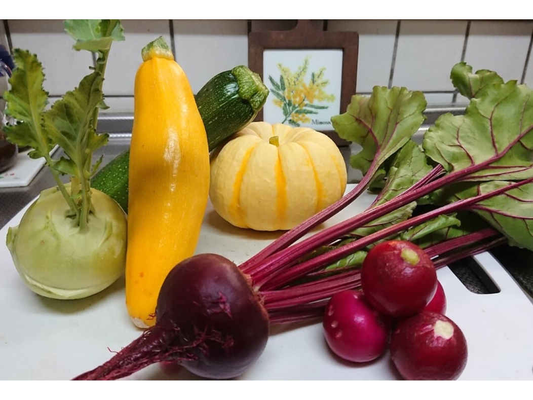 Taka農園のカラフル野菜(ビーツ・かぼちゃ・ズッキーニ・ラディッシュ・コールラビ)は甘くて抗酸化力バツグンです。