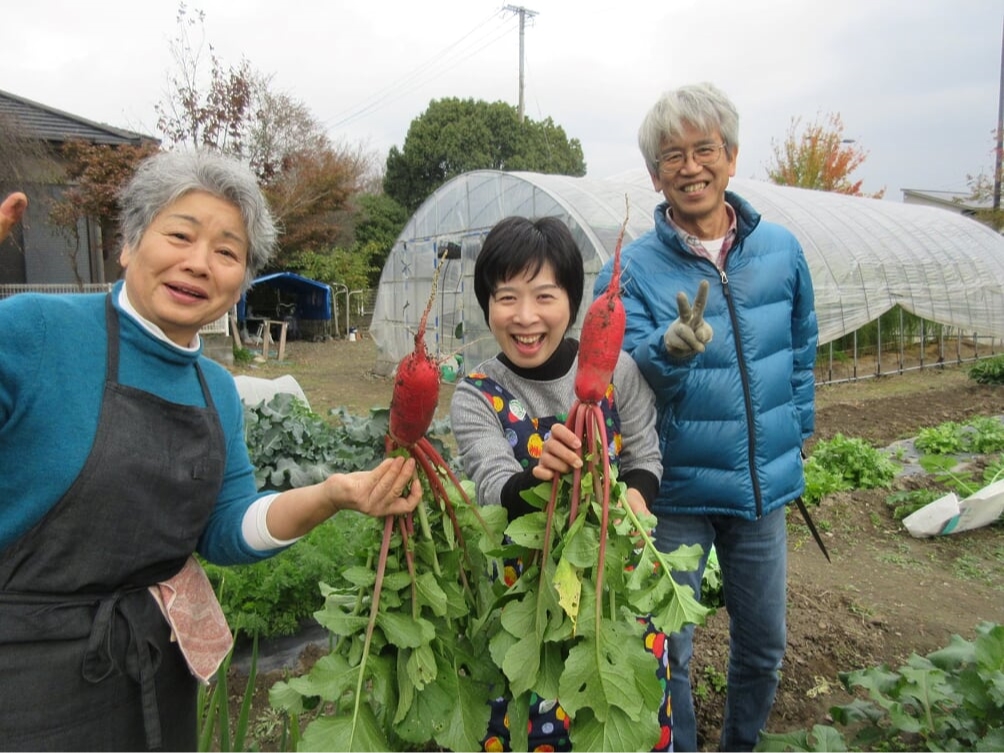 赤大根の収穫 「何と1本1本引いてみないと大きさ分からない!!」「葉っぱも食べれるね!嬉しいこと。」