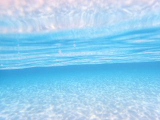 お子様にもおすすめ シュノーケリングツアー キラキラ輝く美しい海の世界をお手軽に体験 同行あり 泳ぎが苦手な方にも Ark Diving Shop 串本店 じゃらん遊び体験 お子様にもおすすめ シュノーケリングツアー キラキラ輝く美しい海の世界をお手軽に体験 同行あり 泳ぎが苦手な方にも Ark Diving Shop 串本店 じゃらん遊び体験