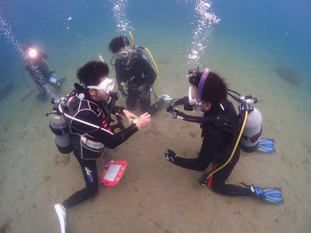 ���l�������琅��j�������Ȑl�ł����v��