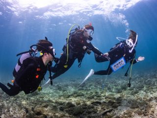 1名様からでもOK☆1組様限定の体験ダイビングプラン!