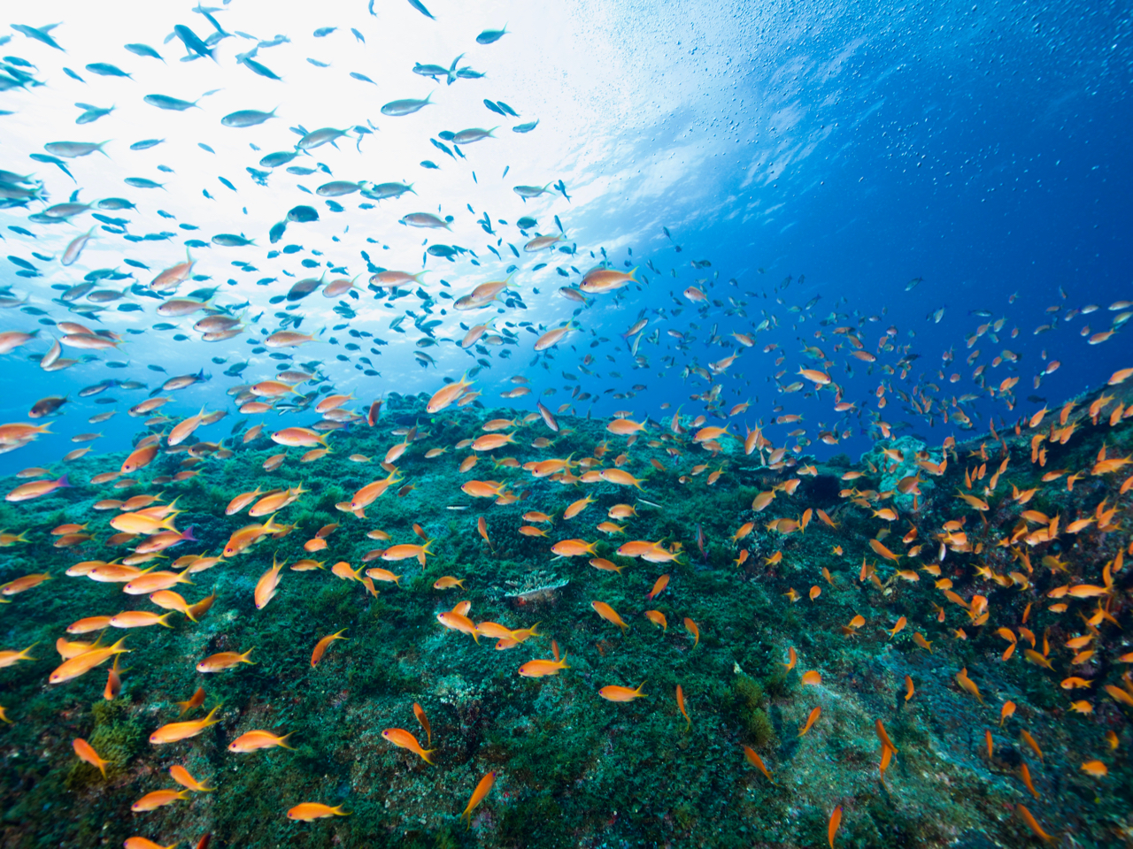 {[g_CrOł͂̋̌Qɏo܂