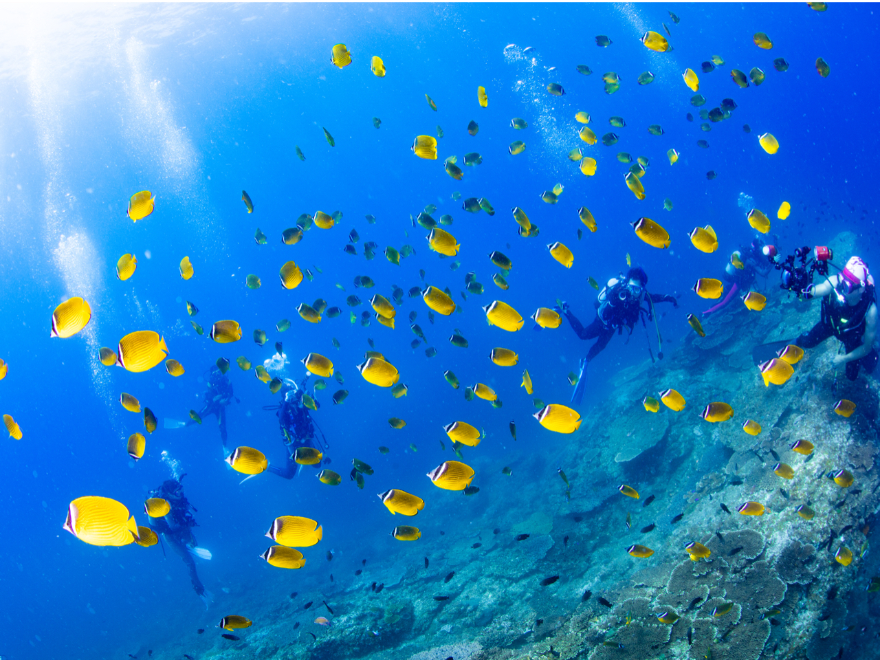 ʐ^erŌ悤Ȍiڂ̑OɁI