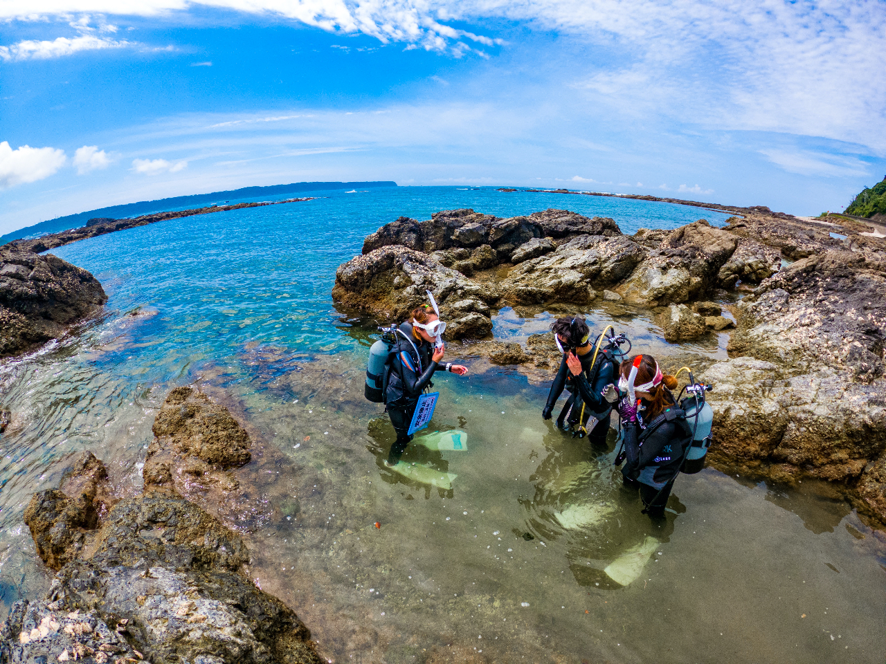 XLsȏSҁEuN_Co[͐̕ł̗K\