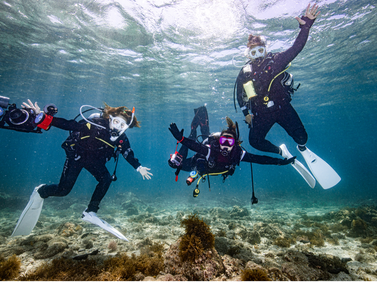 O[vŁAJbvŁAƑŁBō̎vo܂傤