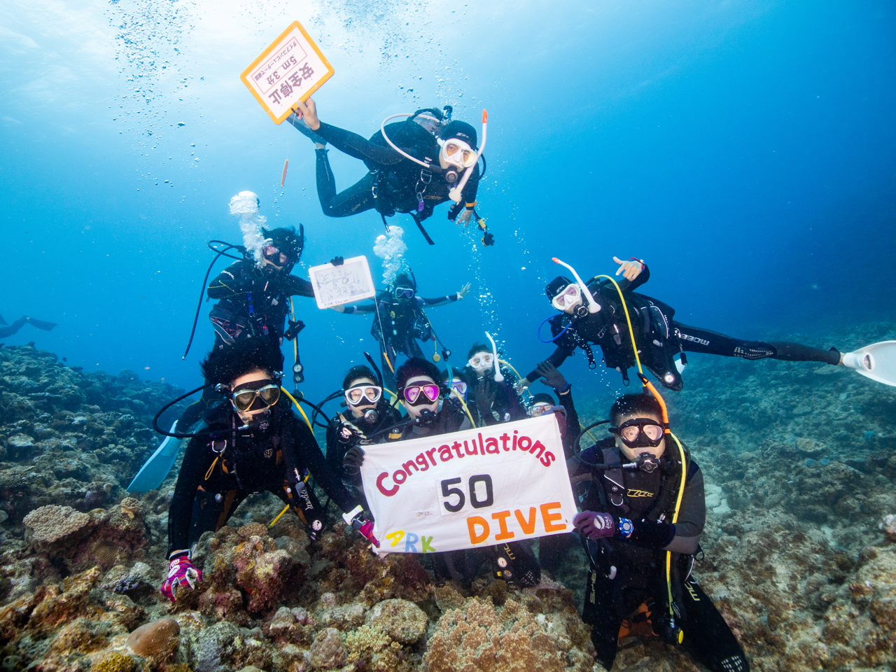 水彩画】 ダイビングショップ 額付き 水彩画 ダイビングショップ 額