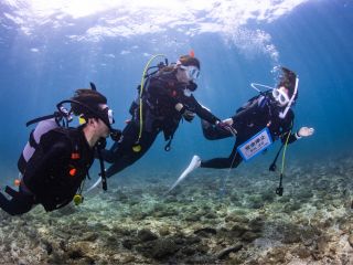 初心者での安心!経験豊富なインストラクターが少人数で水中をご案内いたします。