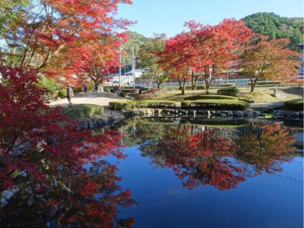 tgtŗLȑ]،܂ŎԂłT