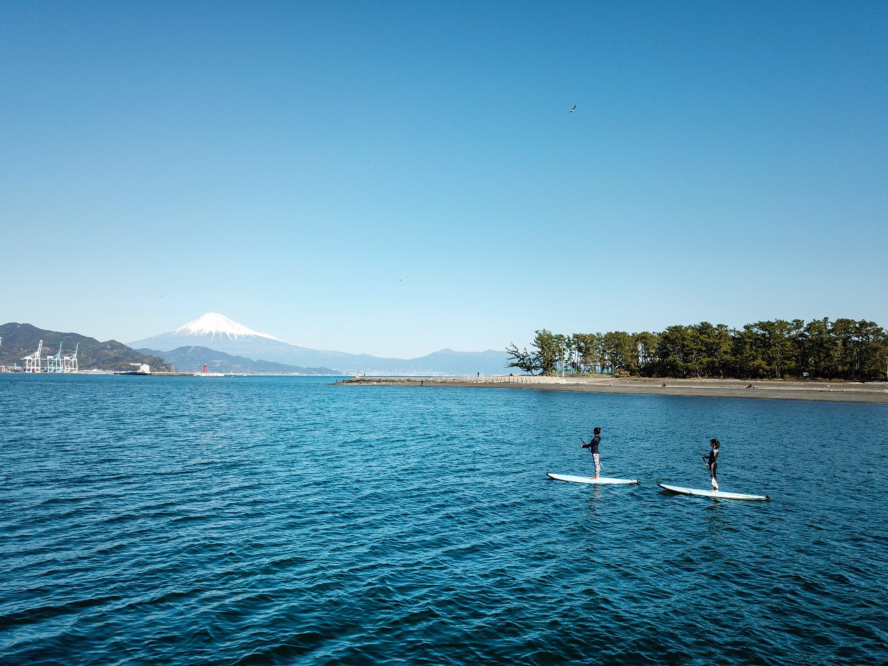 �o�b�O�ɕx�m�R���\����C���z�[���Q�����f�B���ɋ�C�����ޓ~�Ɍ�����x�m�R�̓I�X�X���ł��I