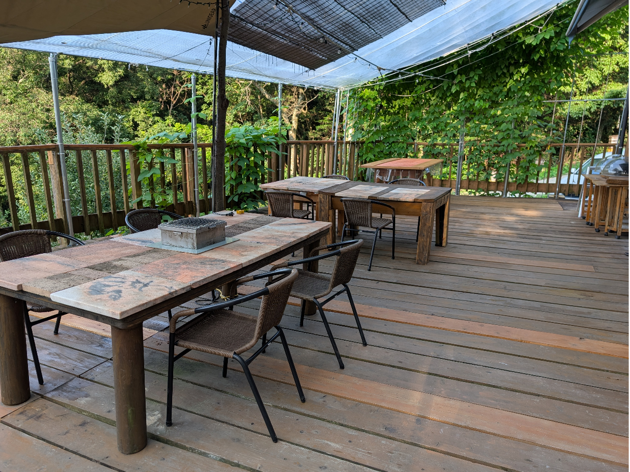 �E�b�h�f�b�L�x�����_�͊C�����ʂ蔲����B