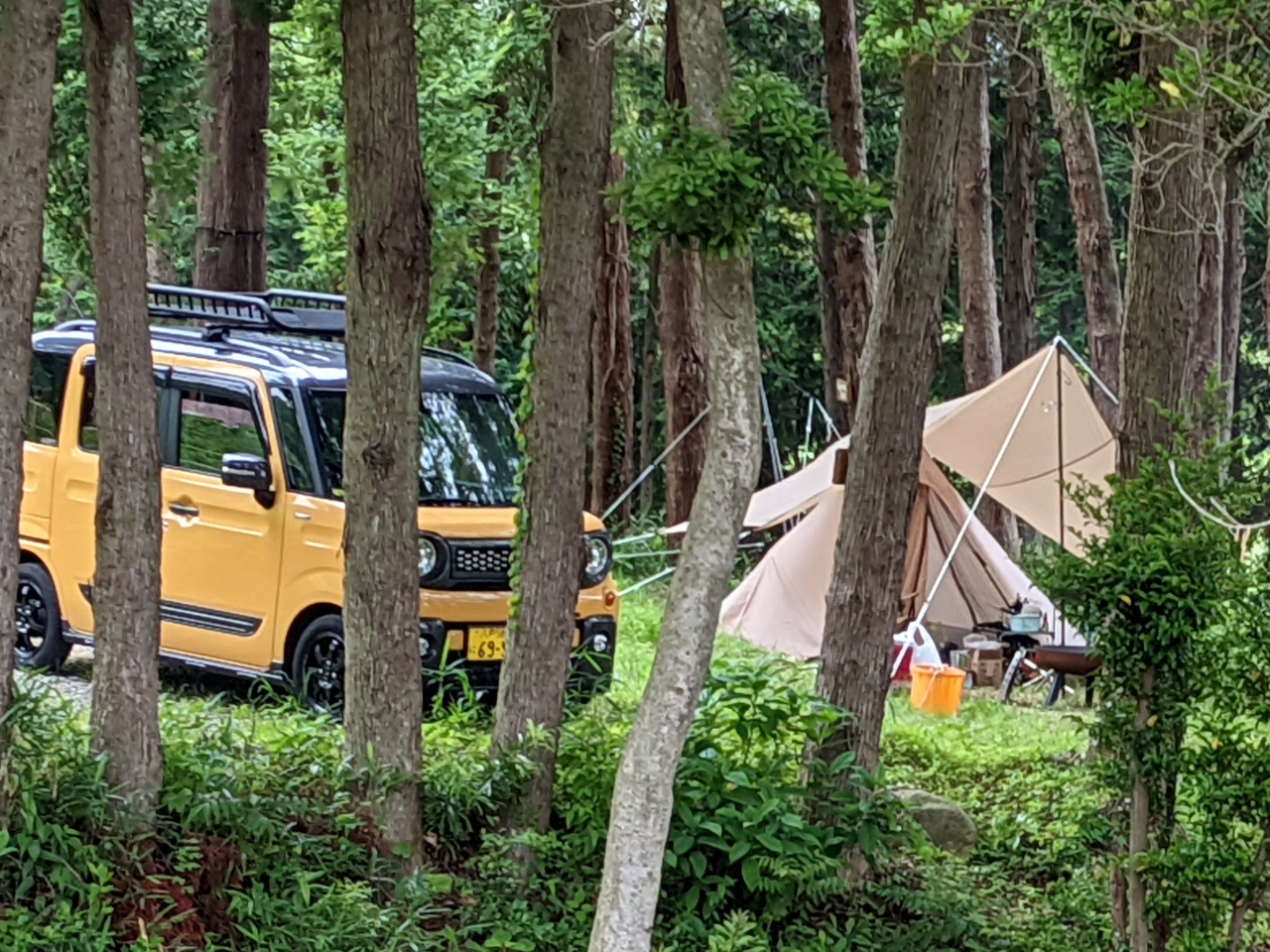 X̗̒I[gLvA^̕ΘF͖IuVApd1000~ŃIvVB