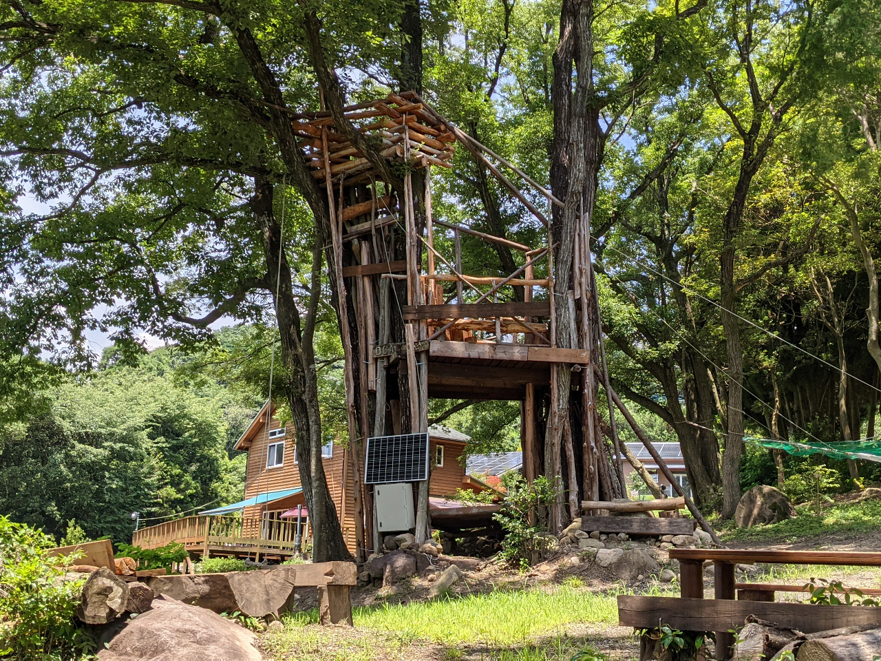 �L�����v�T�C�g�̒����ɂ̓c���[�n�E�X