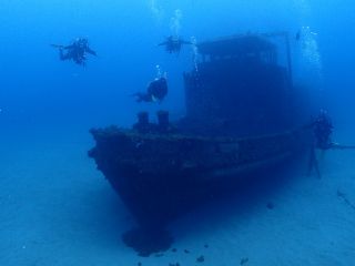 人気ポイント沈船