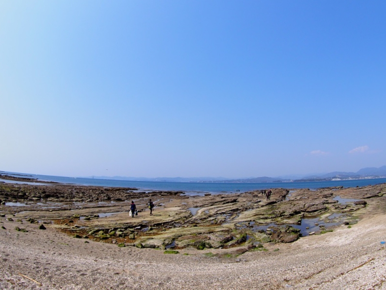 お店の目の前に広がるビーチでダイビング!