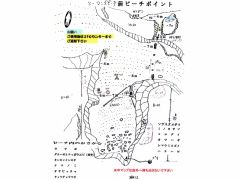 ビーチの水中マップ